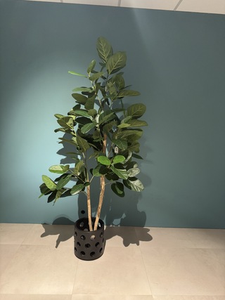 Kunstplant in pot Colours&Green, Ficus Audrey Tree